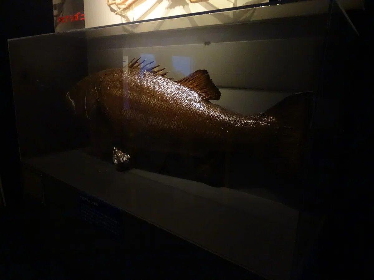 画像115