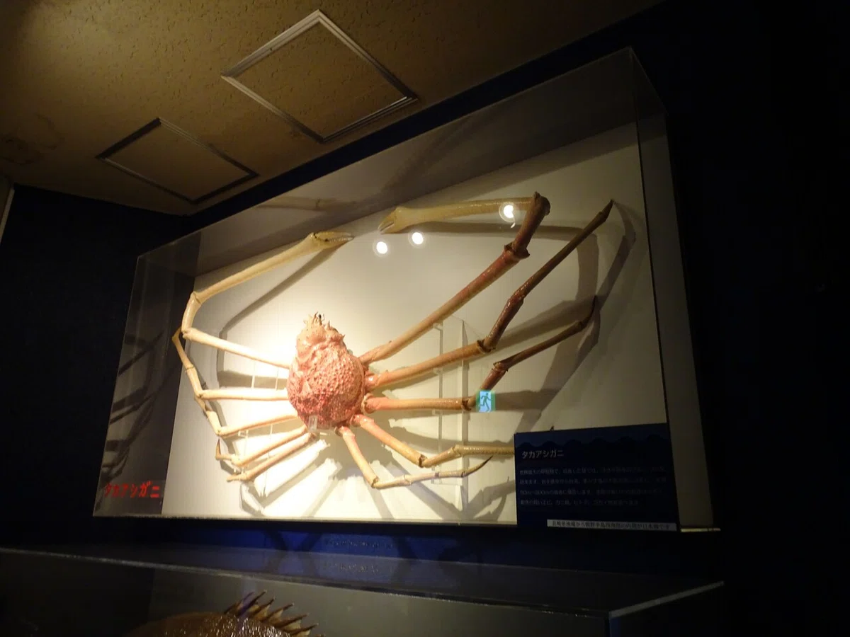 画像114
