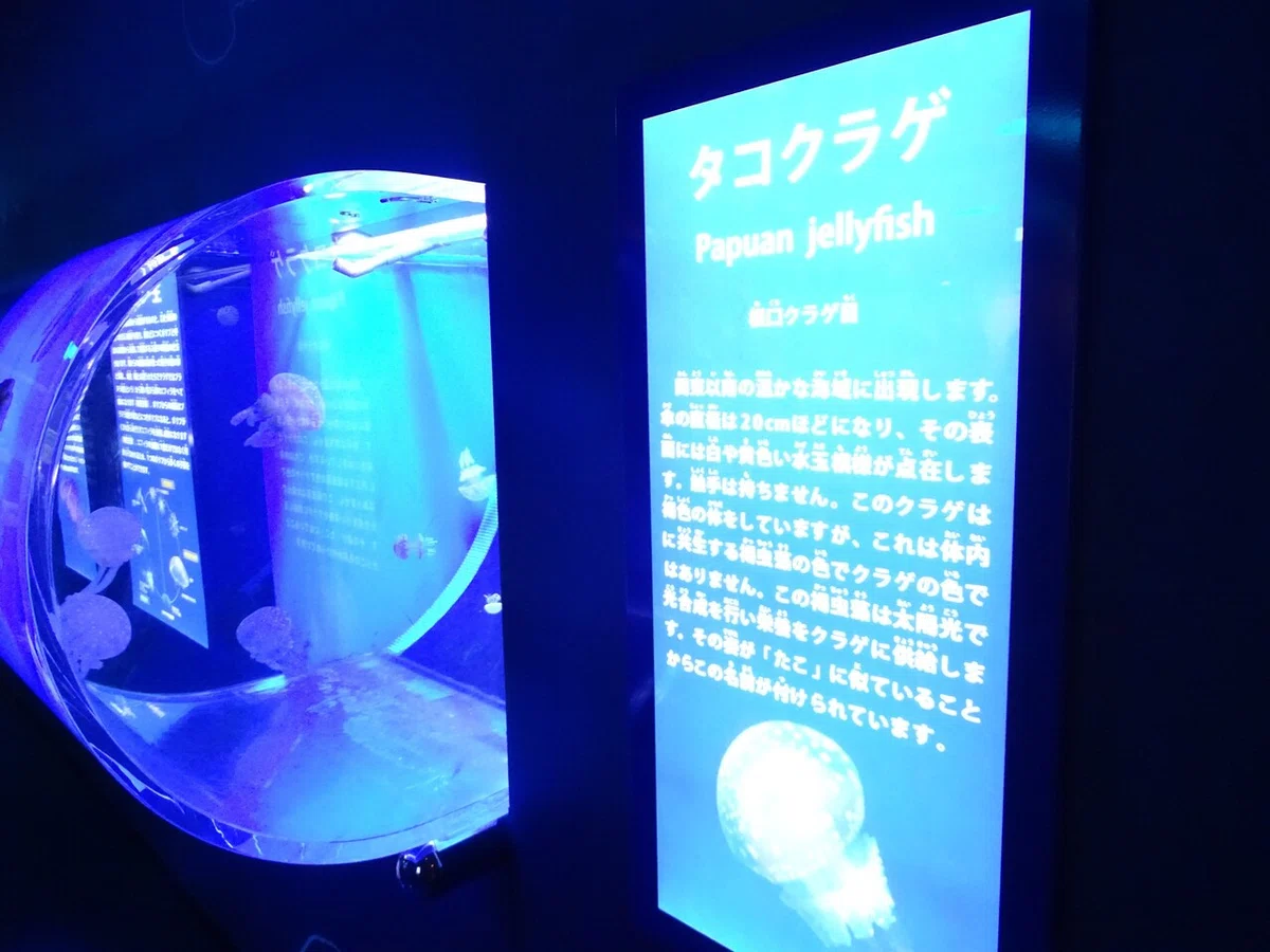画像130