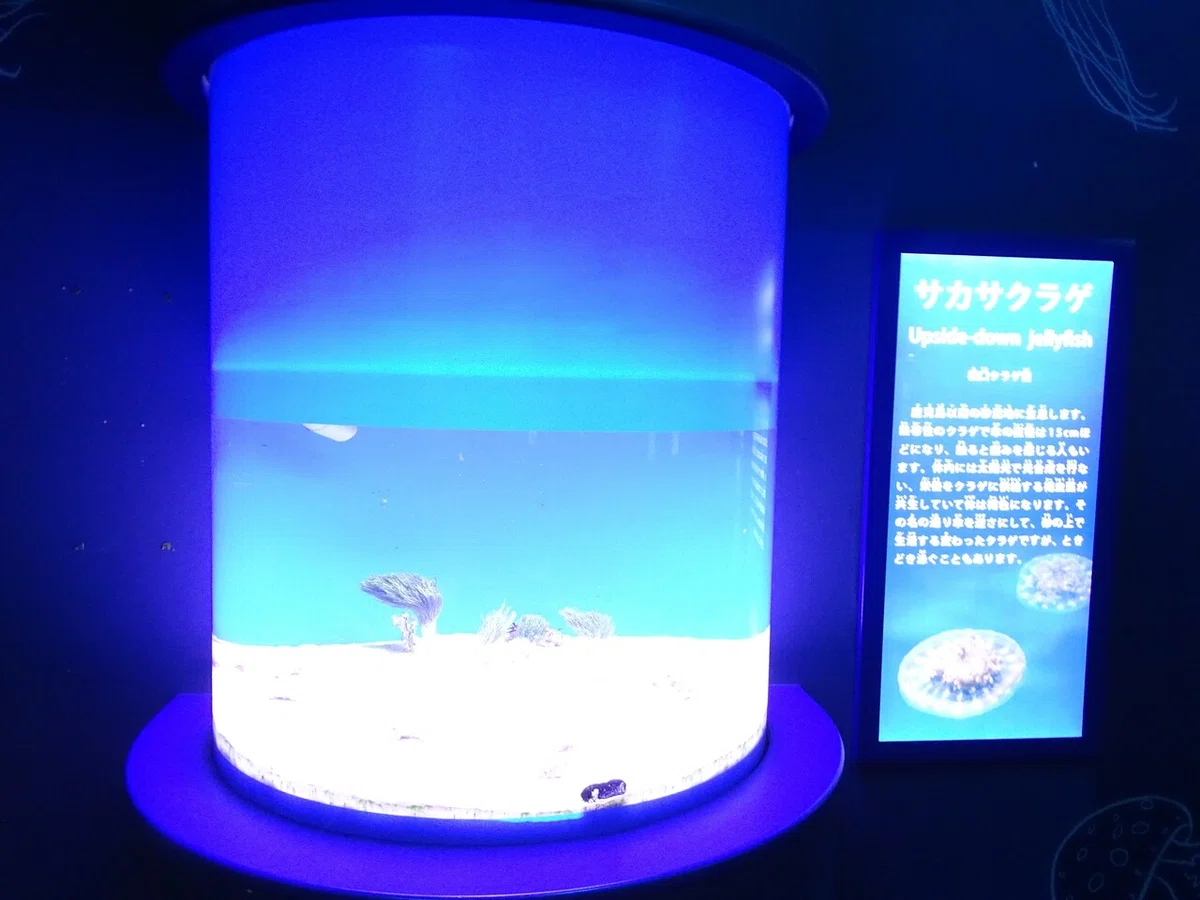 画像134