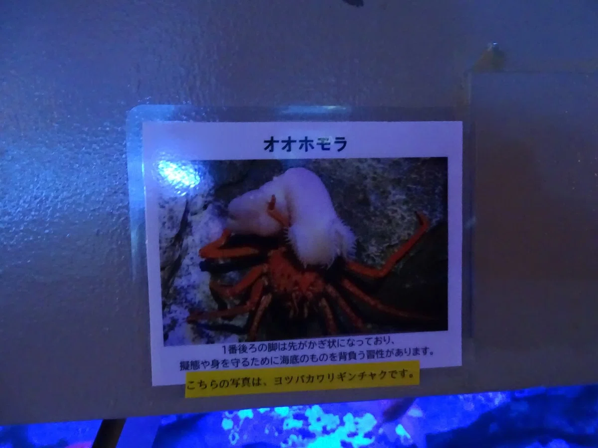 画像125