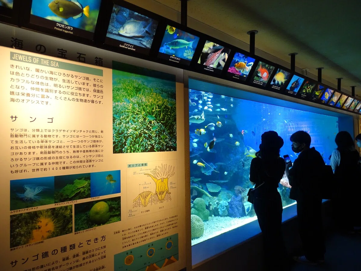 画像89