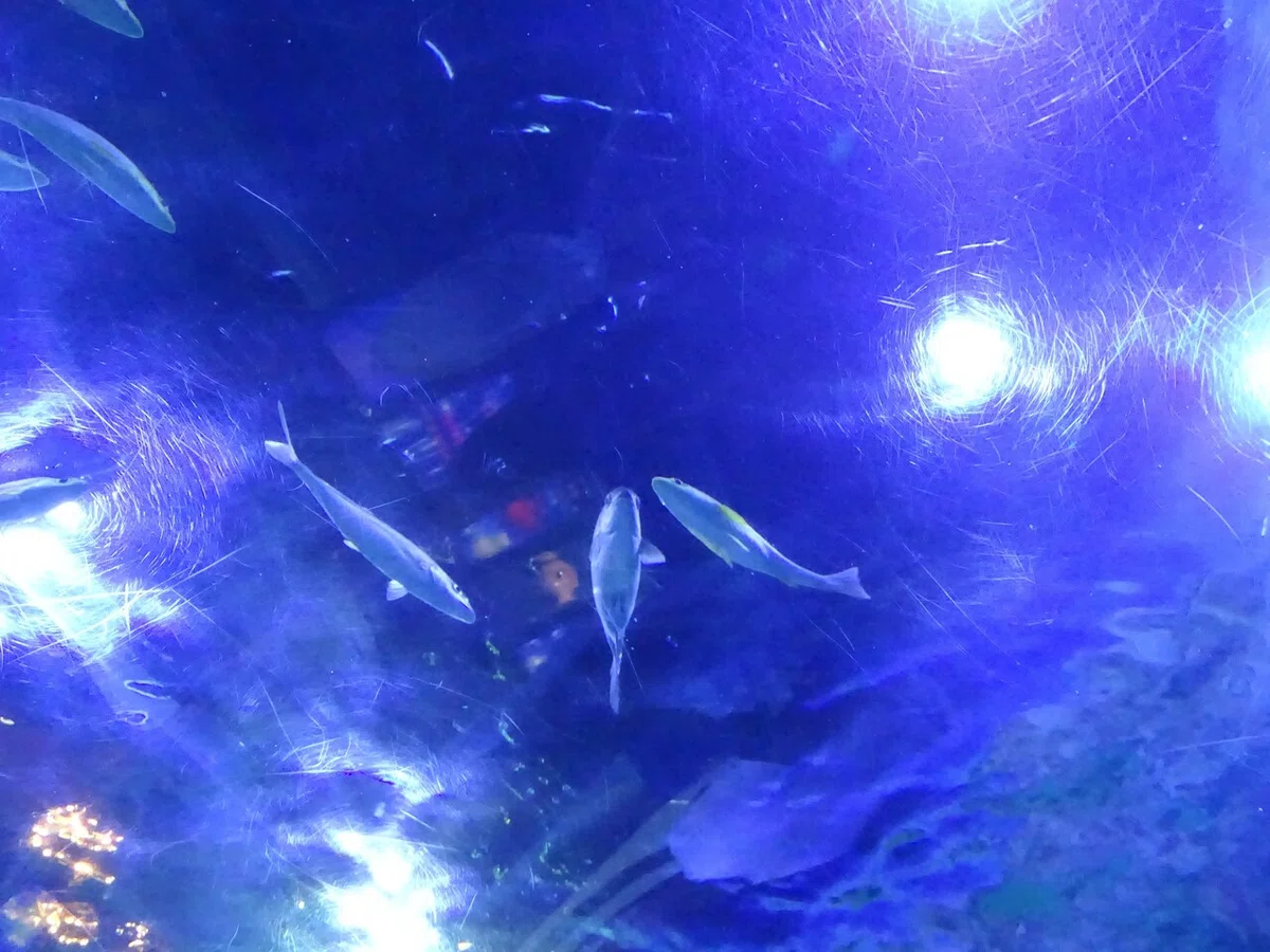 画像102