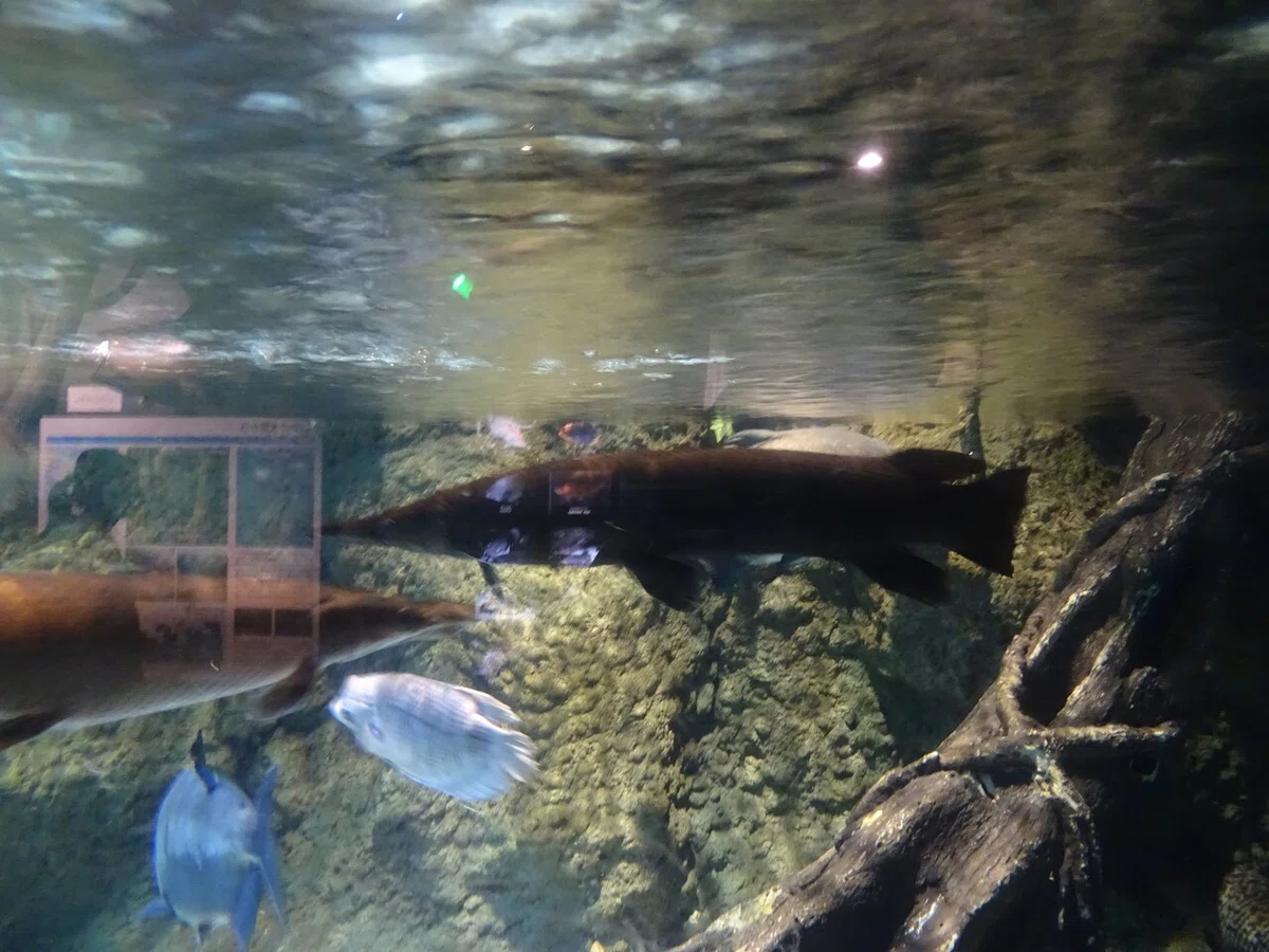 画像124