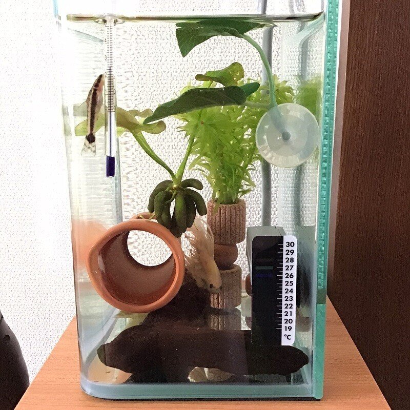 我が家の水槽台 Uo Note 我が家の水槽台 Uo Note