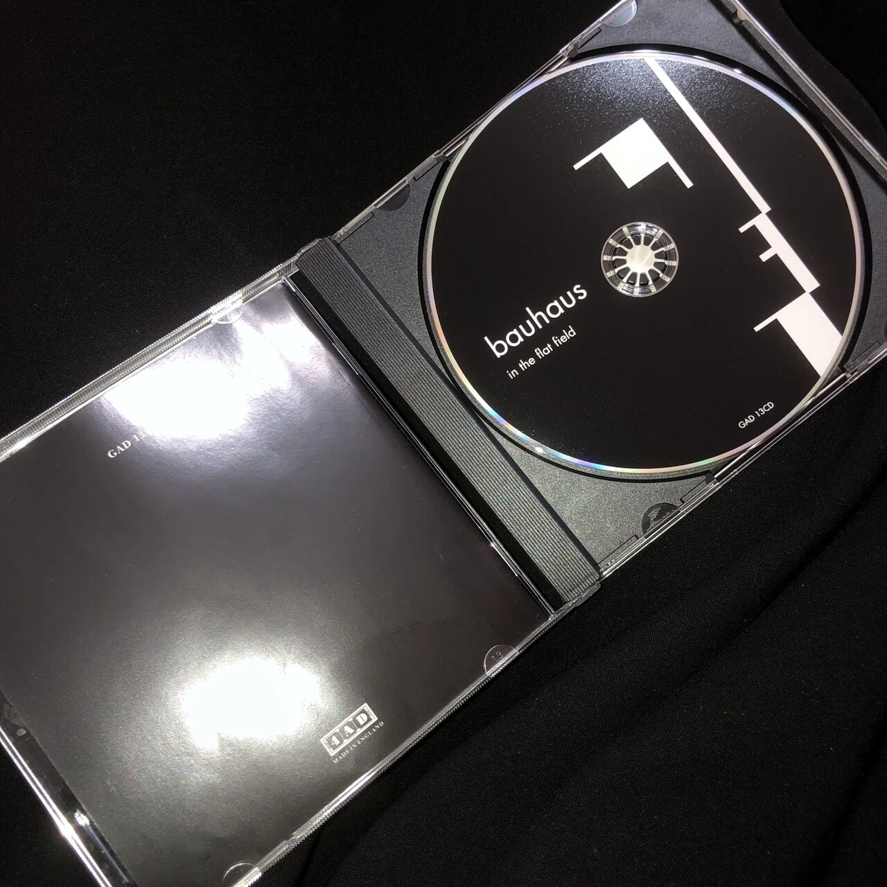 Bauhaus の『In the Flat Field』を聴いてみた編｜内山 結愛
