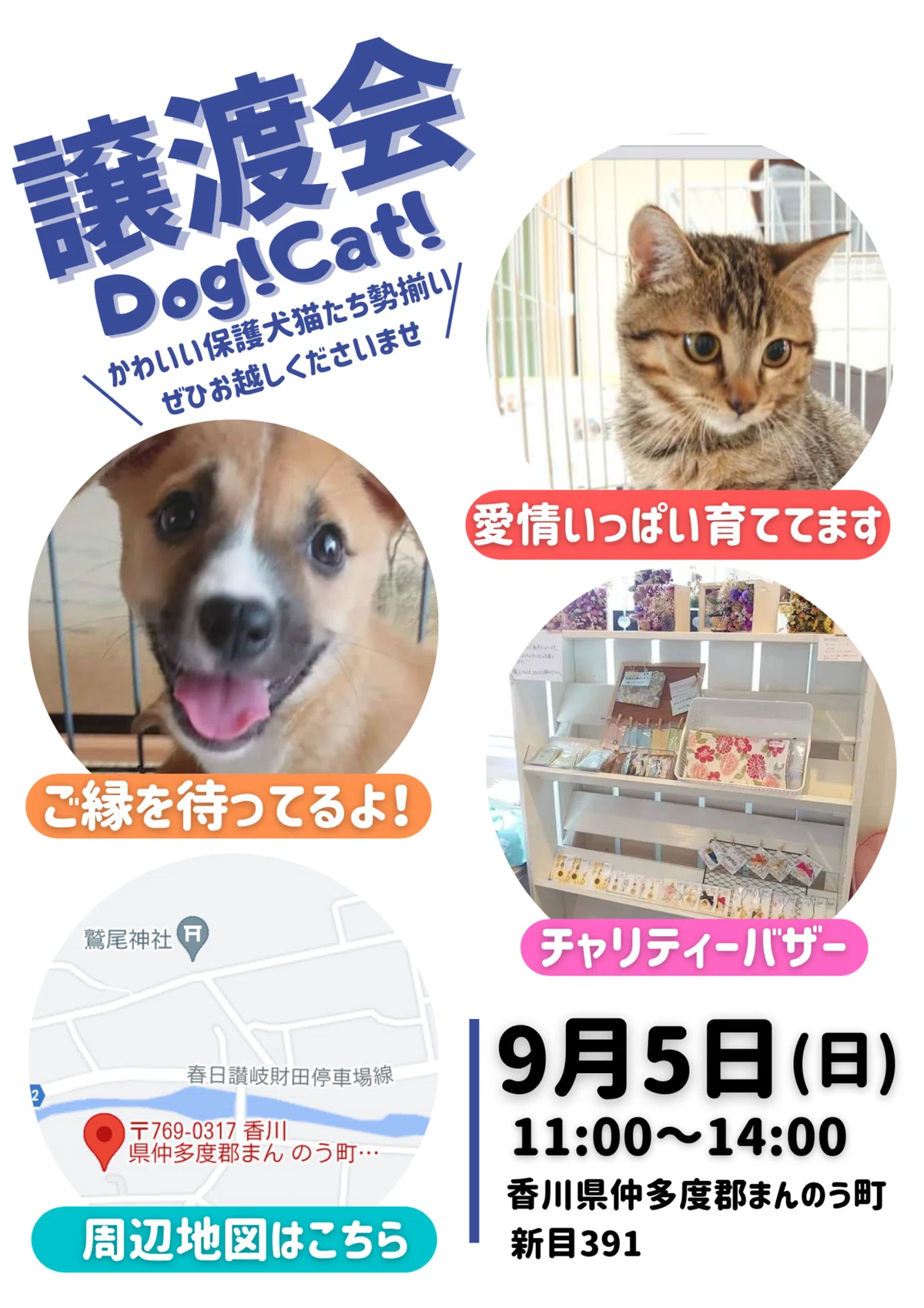 [Adoption Event Notice] We will be holding an adoption event in Manno ...