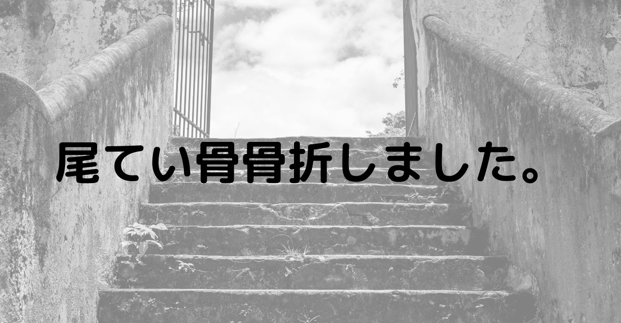 尾てい骨骨折しました とみせい 頑張り続ける人生 Note 尾てい骨骨折しました とみせい 頑張り続ける人生 Note