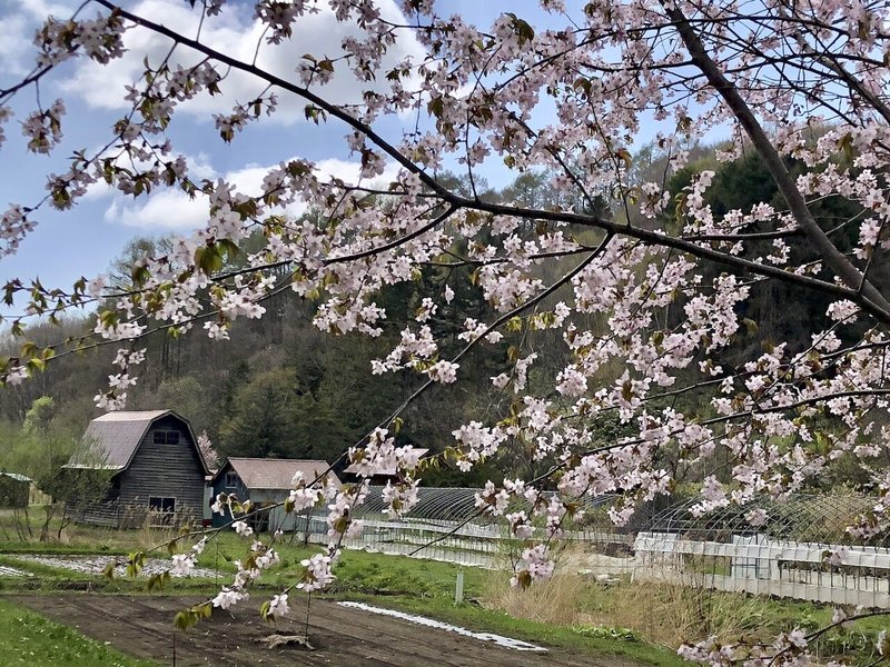 特別賞 14 里山の春