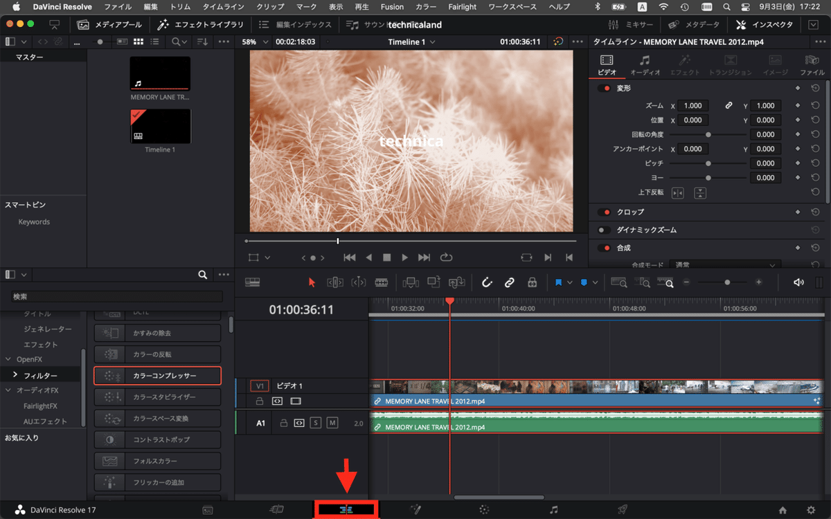 スクリーンショット 2021-09-03 17.22.30