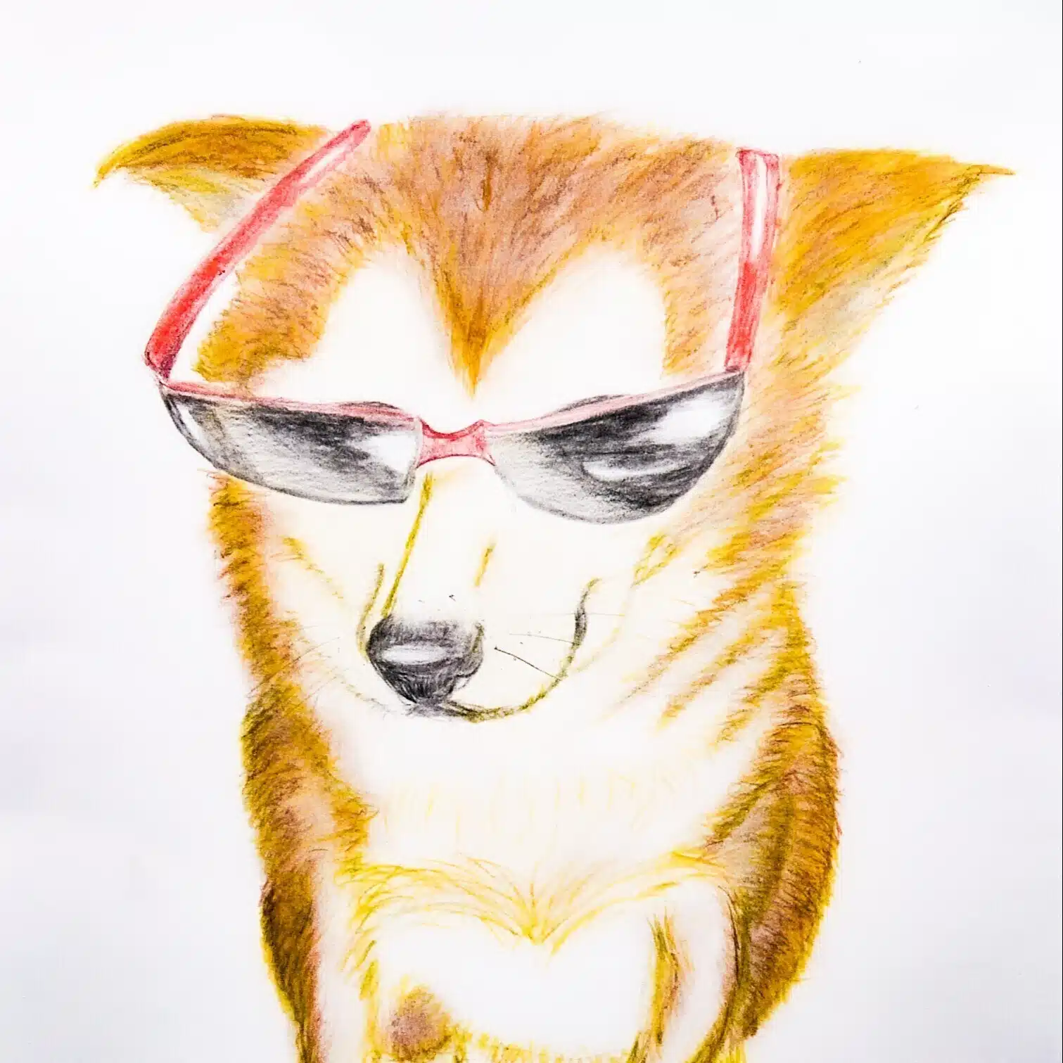 シバイヌモモ