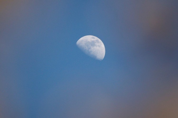 日没
まだ白い月と、桜
2013年撮影の写真から