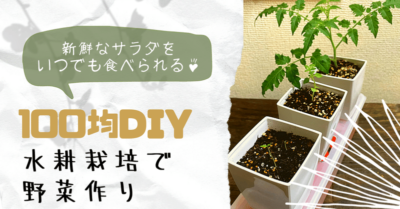 水耕栽培 の新着タグ記事一覧 Note つくる つながる とどける