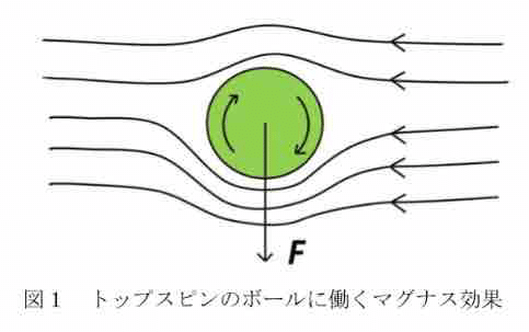 Evidence Based 草野球 5 回転数と回転軸 ゆうた Note