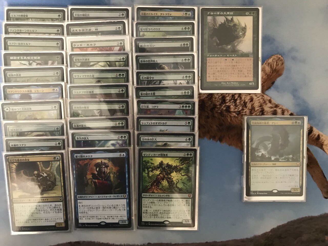 格安EDH】1万円EDH その1「 円渦の暴君、アシー/Aesi, Tyrant of