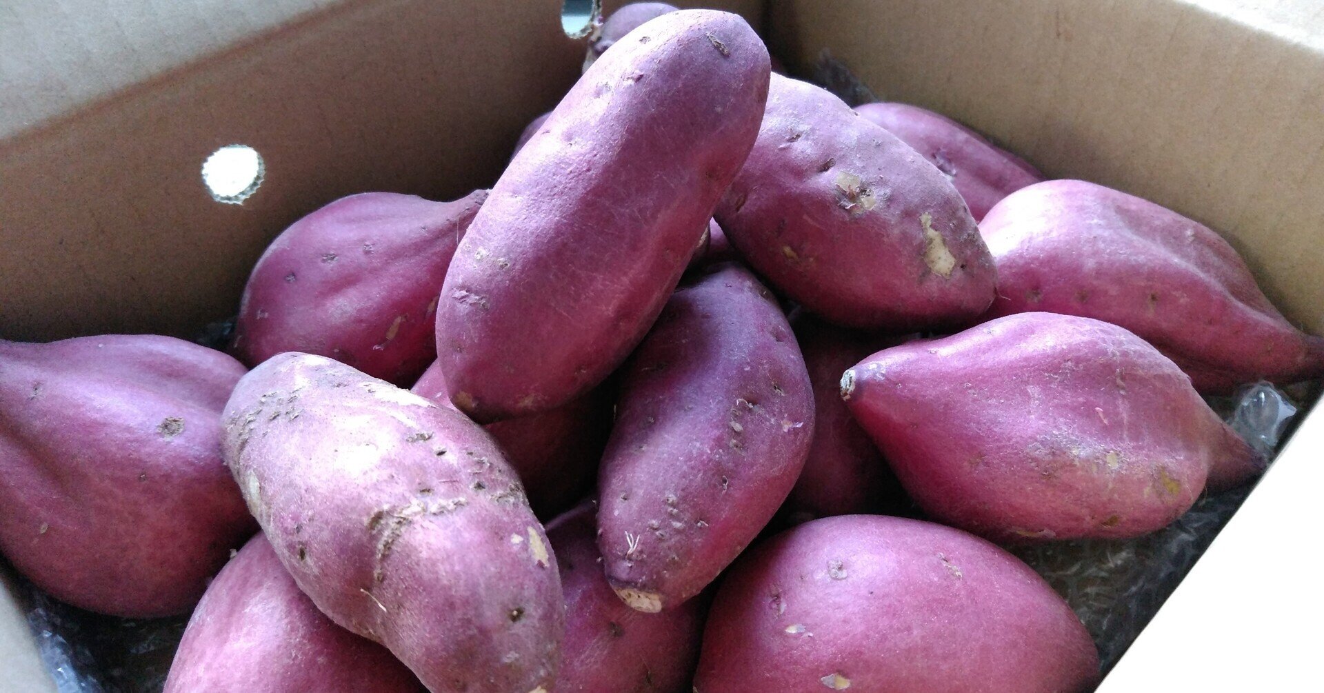 芋食ってプー 秋を感じるさつまいもの絵本 楽しく遊ぶ Ayako 想 遊 共 育ラボ Note 芋食ってプー 秋を感じるさつまいもの絵本 楽しく遊ぶ Ayako 想 遊 共 育ラボ Note