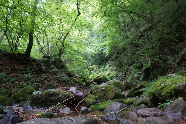 御岳山ロックガーデン。緑と水がとても気持ちよい場所でした