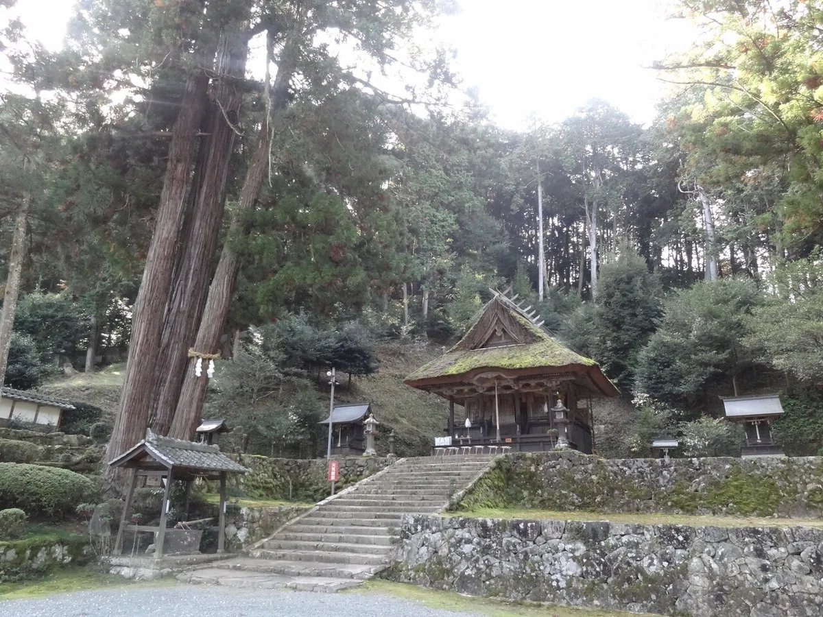 画像2