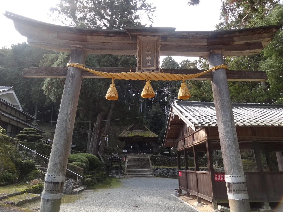 画像8