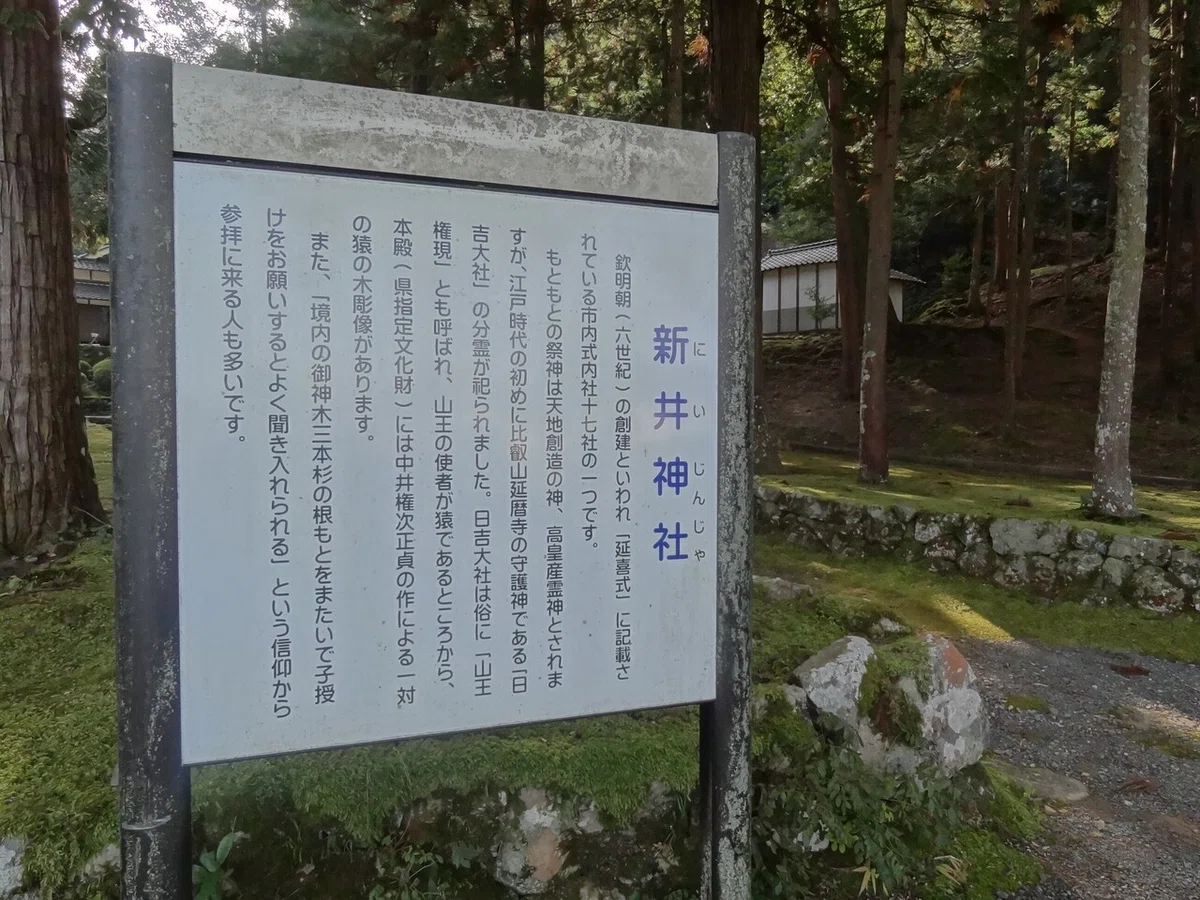 画像10