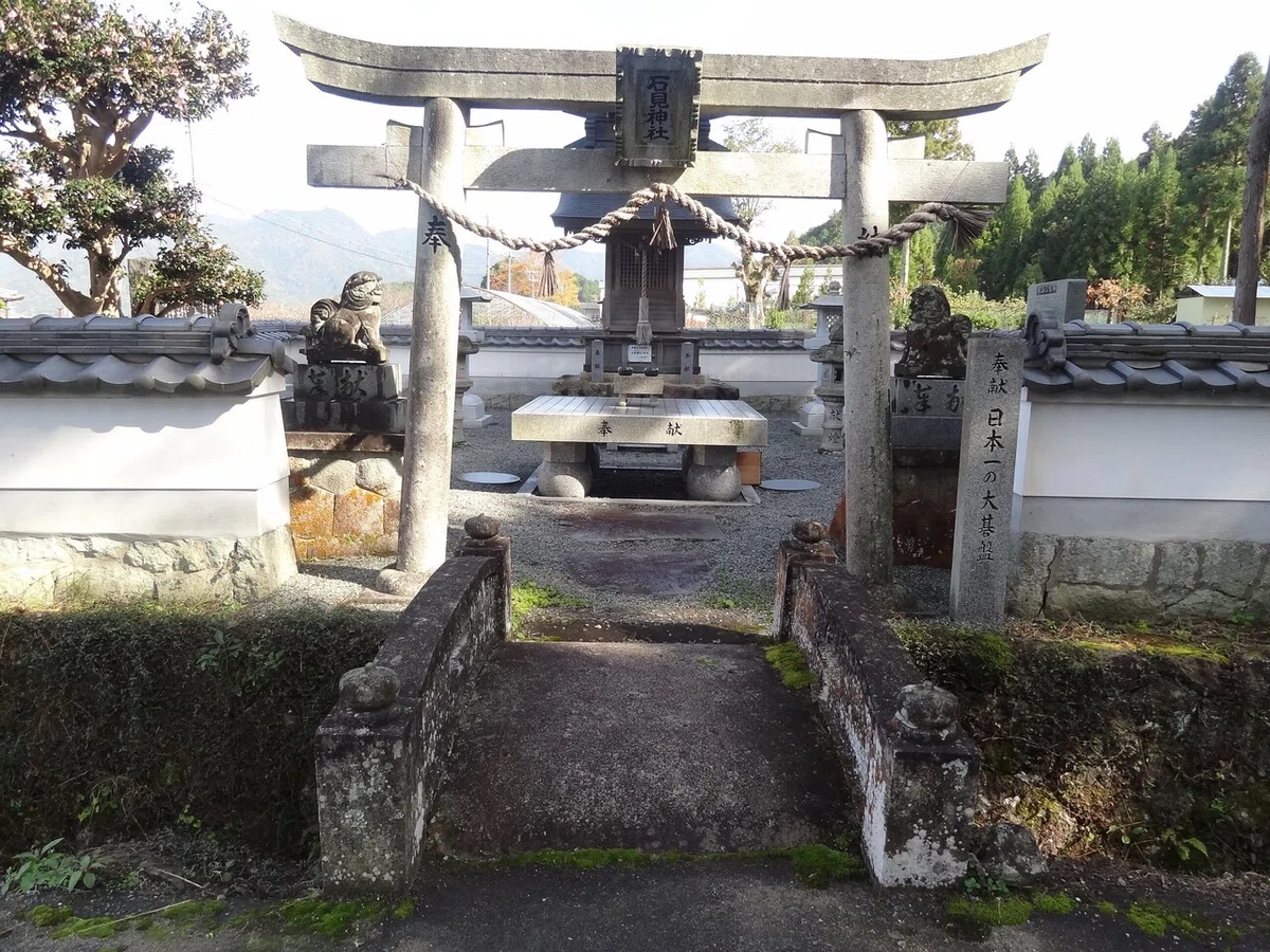 画像13
