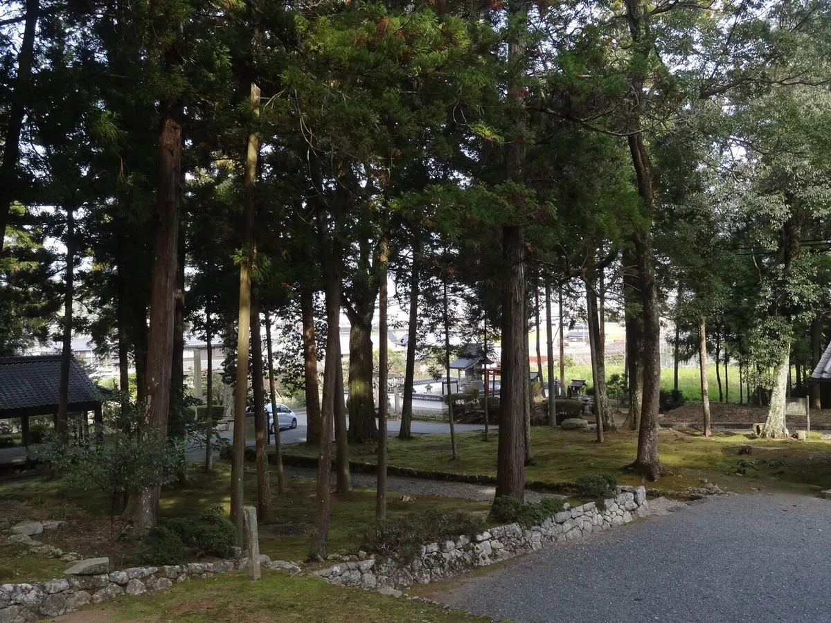 画像16