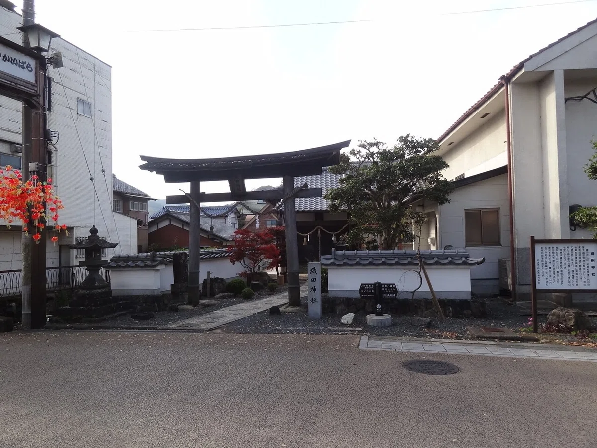 画像6