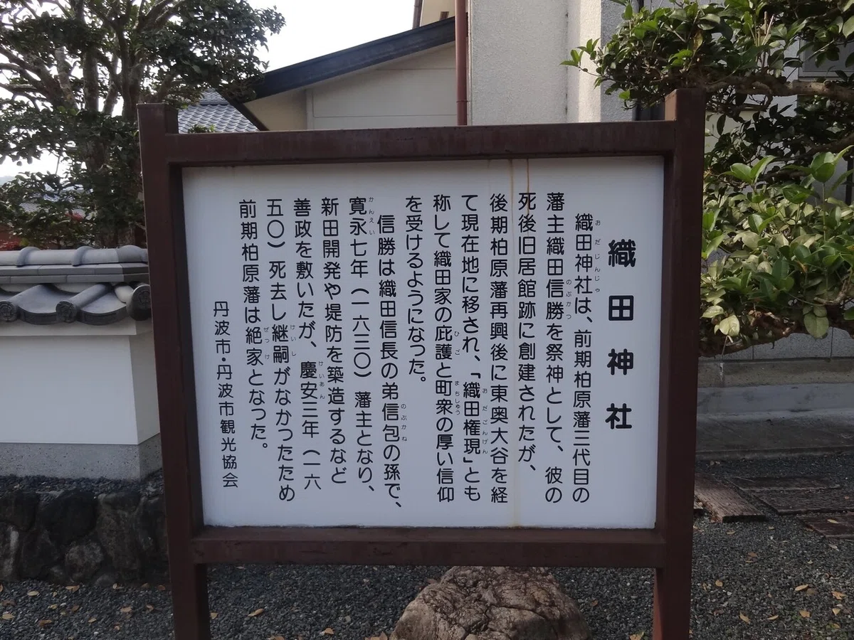 画像7
