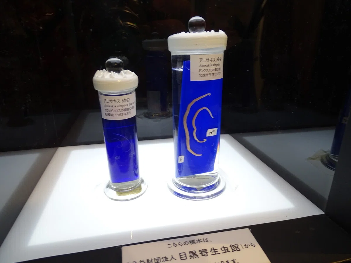 画像163