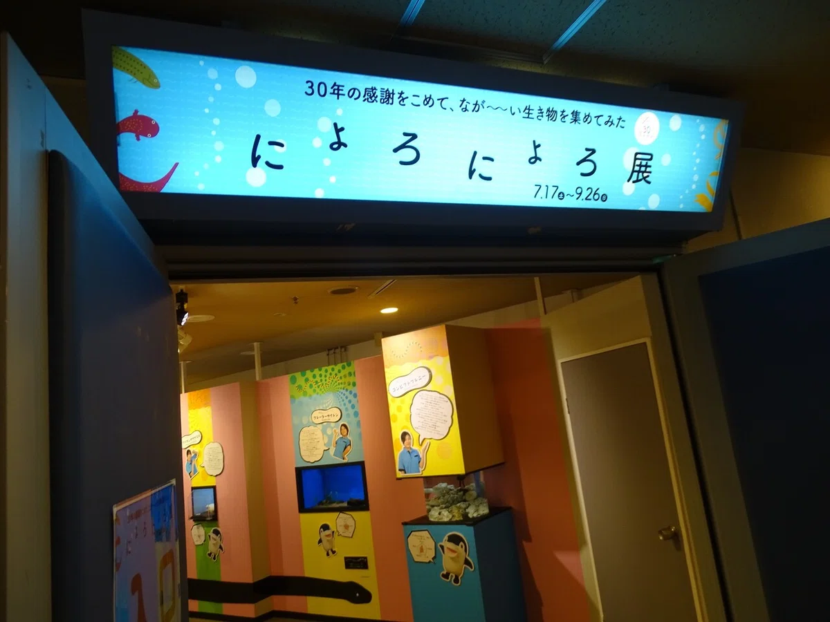 画像142