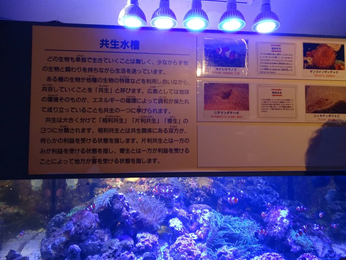 画像136