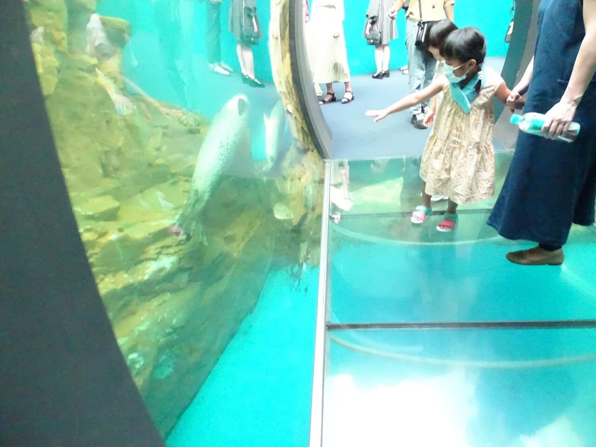 画像207