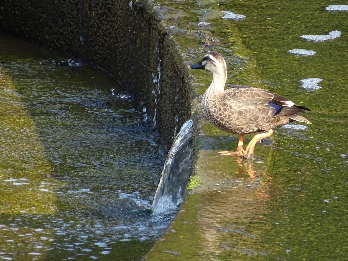 画像205
