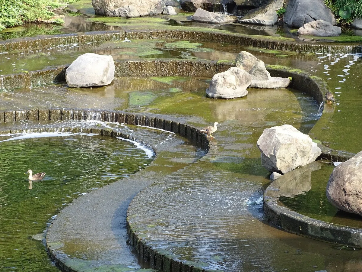 画像203