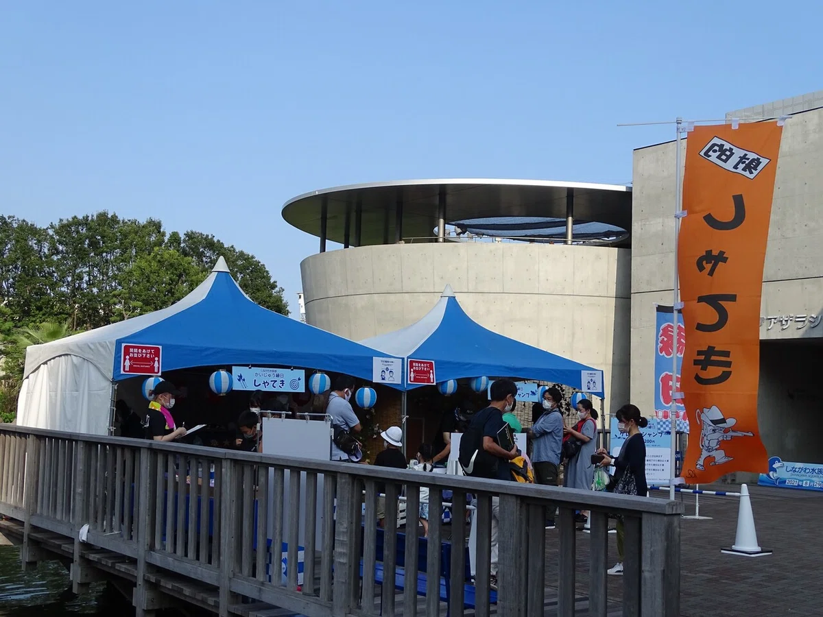 画像202
