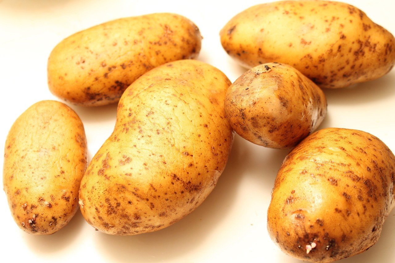 究極のフライドポテトを目指して 樋口直哉 Travelingfoodlab Note 究極のフライドポテトを目指して 樋口直哉 Travelingfoodlab Note