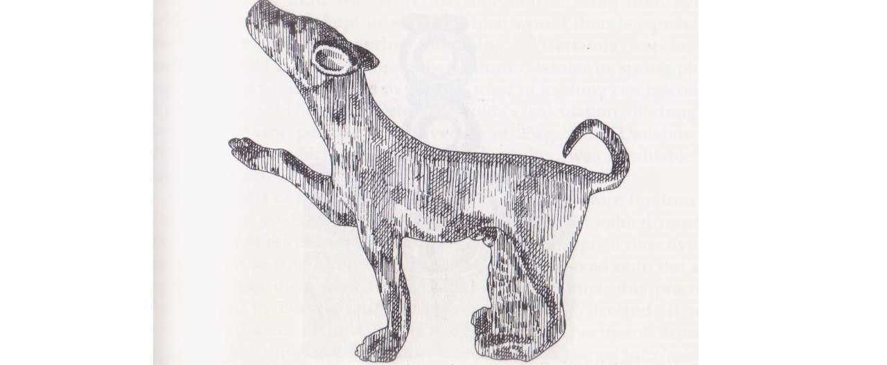 ケルト世界とアイルランドにおける犬について そして英雄クー フランについて 考古学と伝承 神話学の点から ケルト神話翻訳マン Note