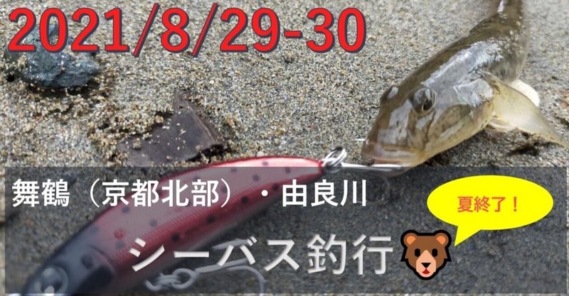2021/8/29 舞鶴・由良川シーバス釣行