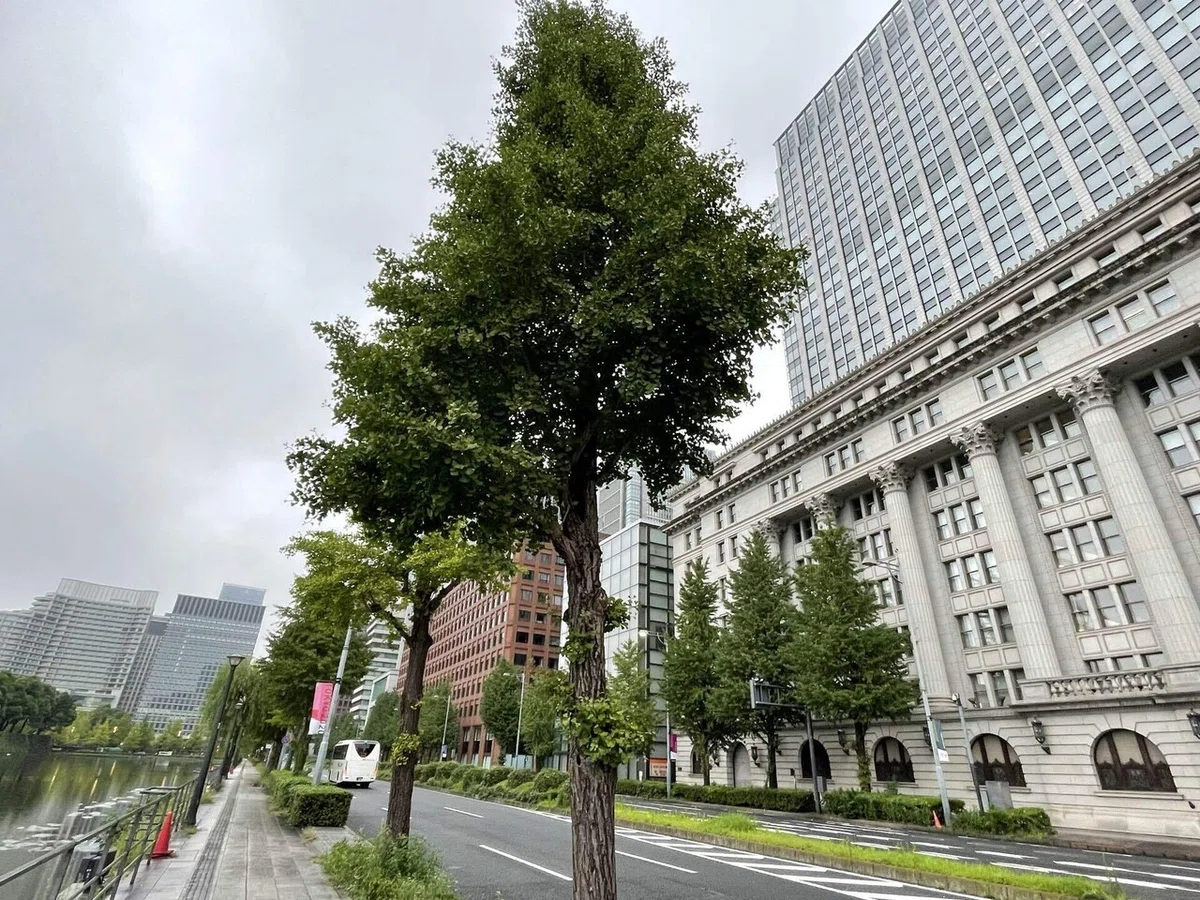 画像23
