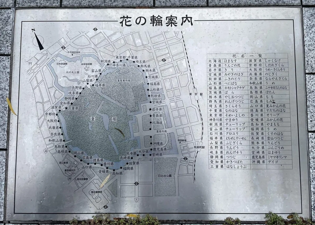 画像29