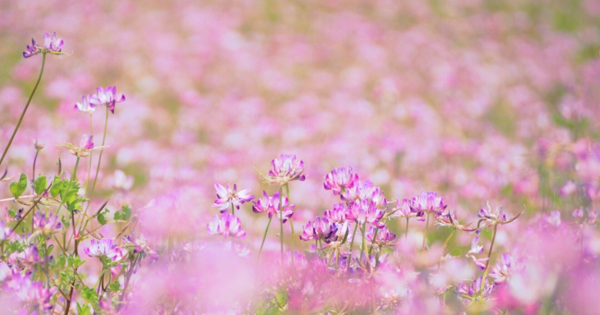 ネタバレ なんて素敵にジャパネスク 2 菜南 Note ネタバレ なんて素敵にジャパネスク 2 菜南 Note