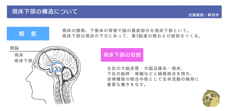 解剖学 生理学 図解イラストとゴロで簡単 視床下部 の覚え方 森元塾 国家試験対策 Note