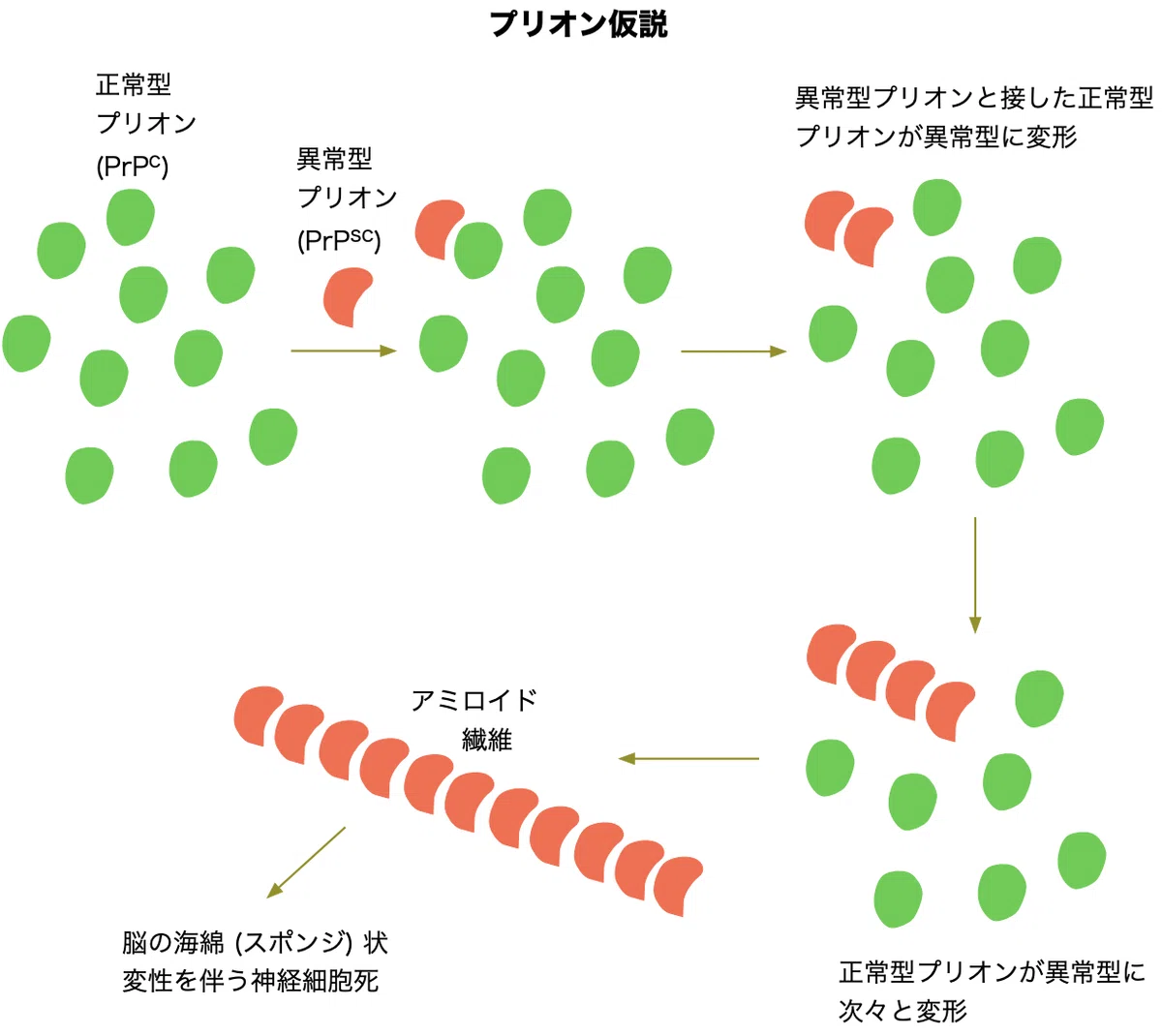 プリオン仮説