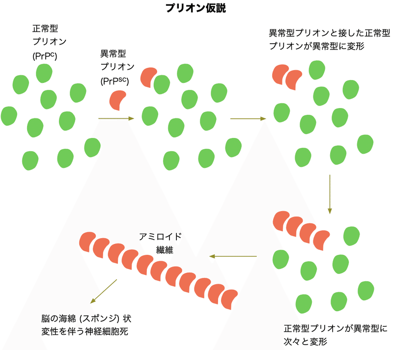 プリオン仮説