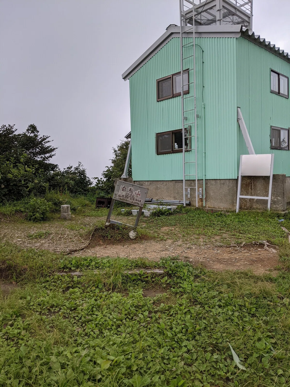 画像12