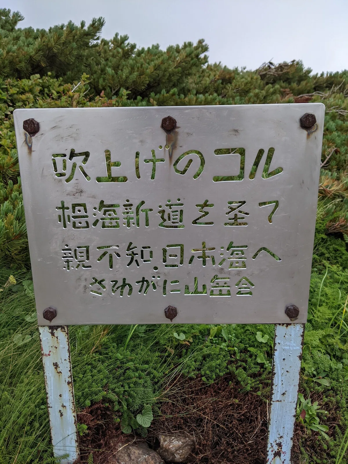 画像17