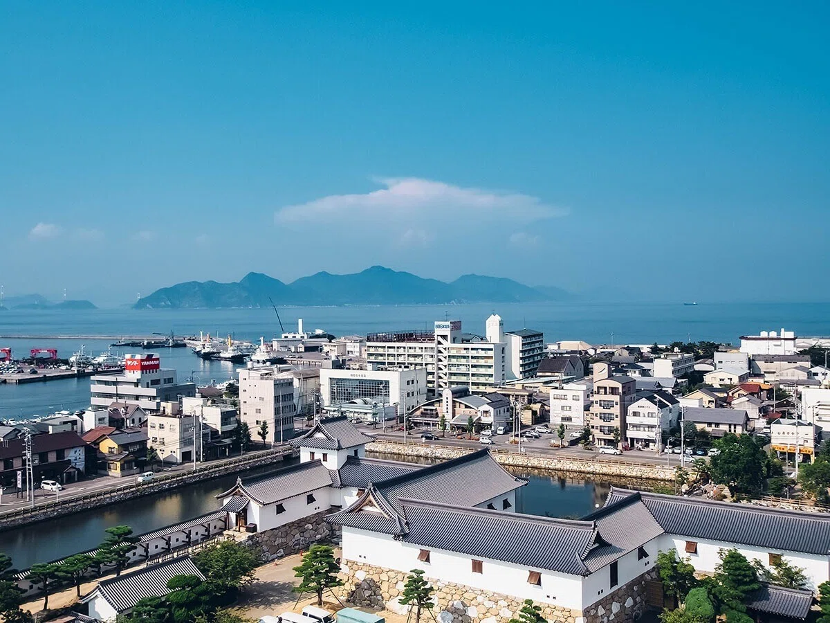画像5