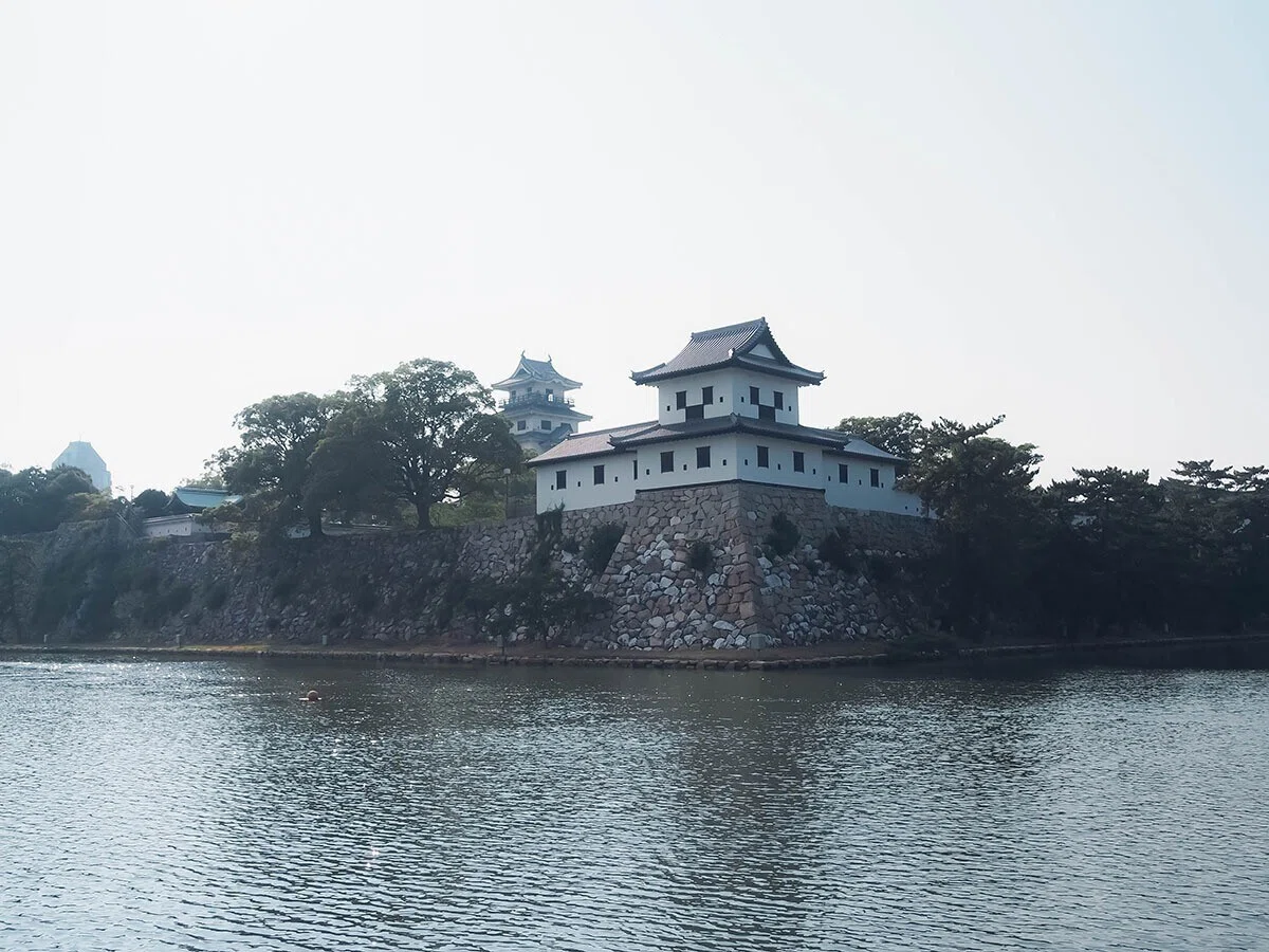 画像8