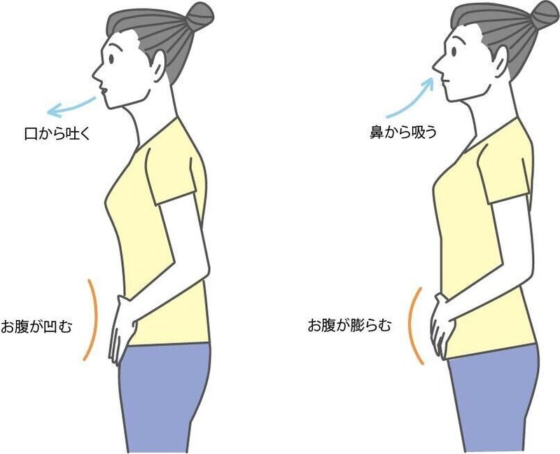 腹式呼吸　やり方