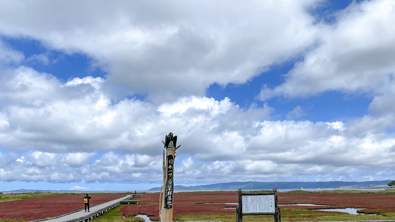 湿地帯を赤く染める秋の使者 能取湖のサンゴ草 鶴雅リゾートデジタルコンシェルジュ Note 湿地帯を赤く染める秋の使者 能取湖のサンゴ草 鶴雅リゾートデジタルコンシェルジュ Note